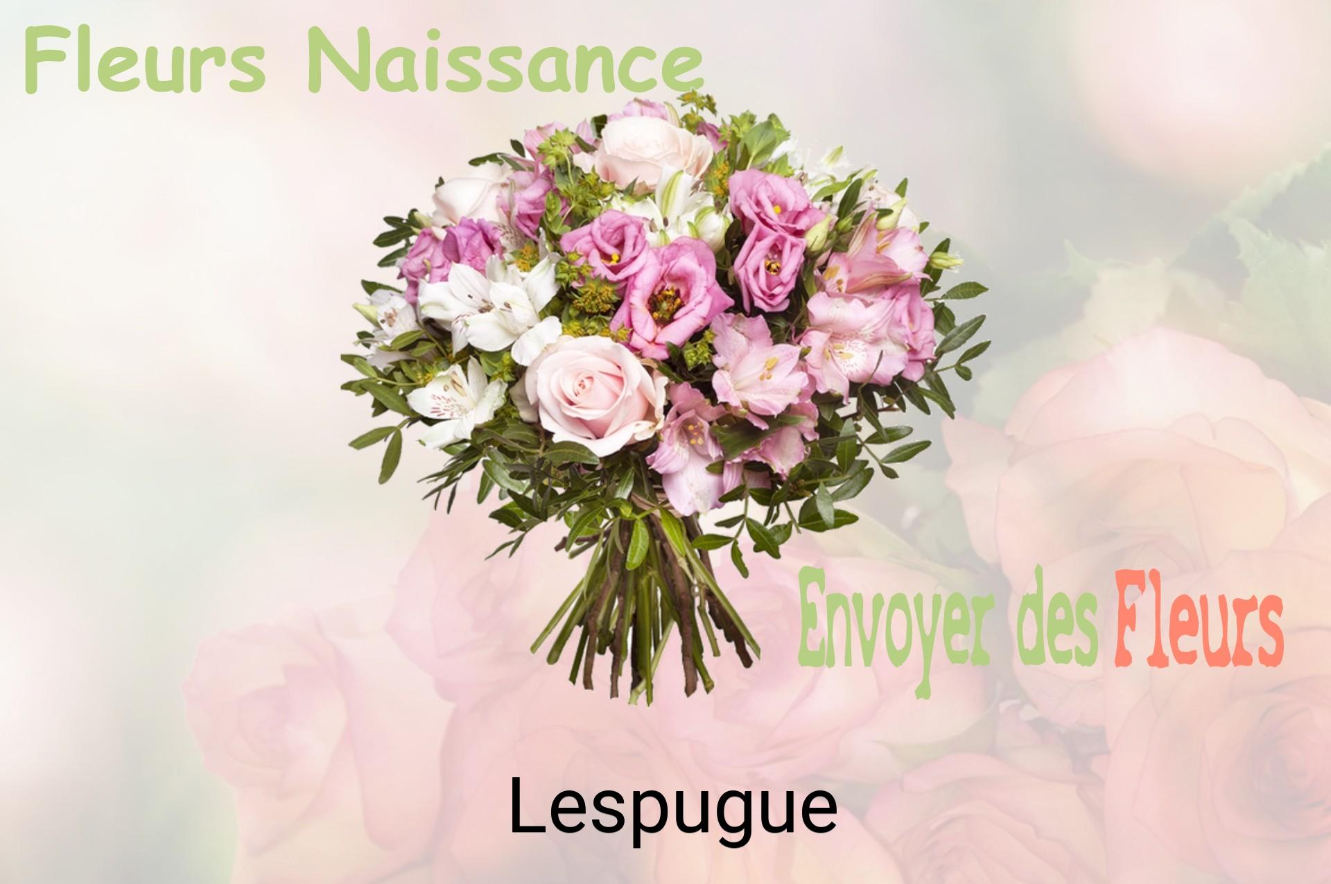 Bouquet de fleurs de naissance livré à Lespugue