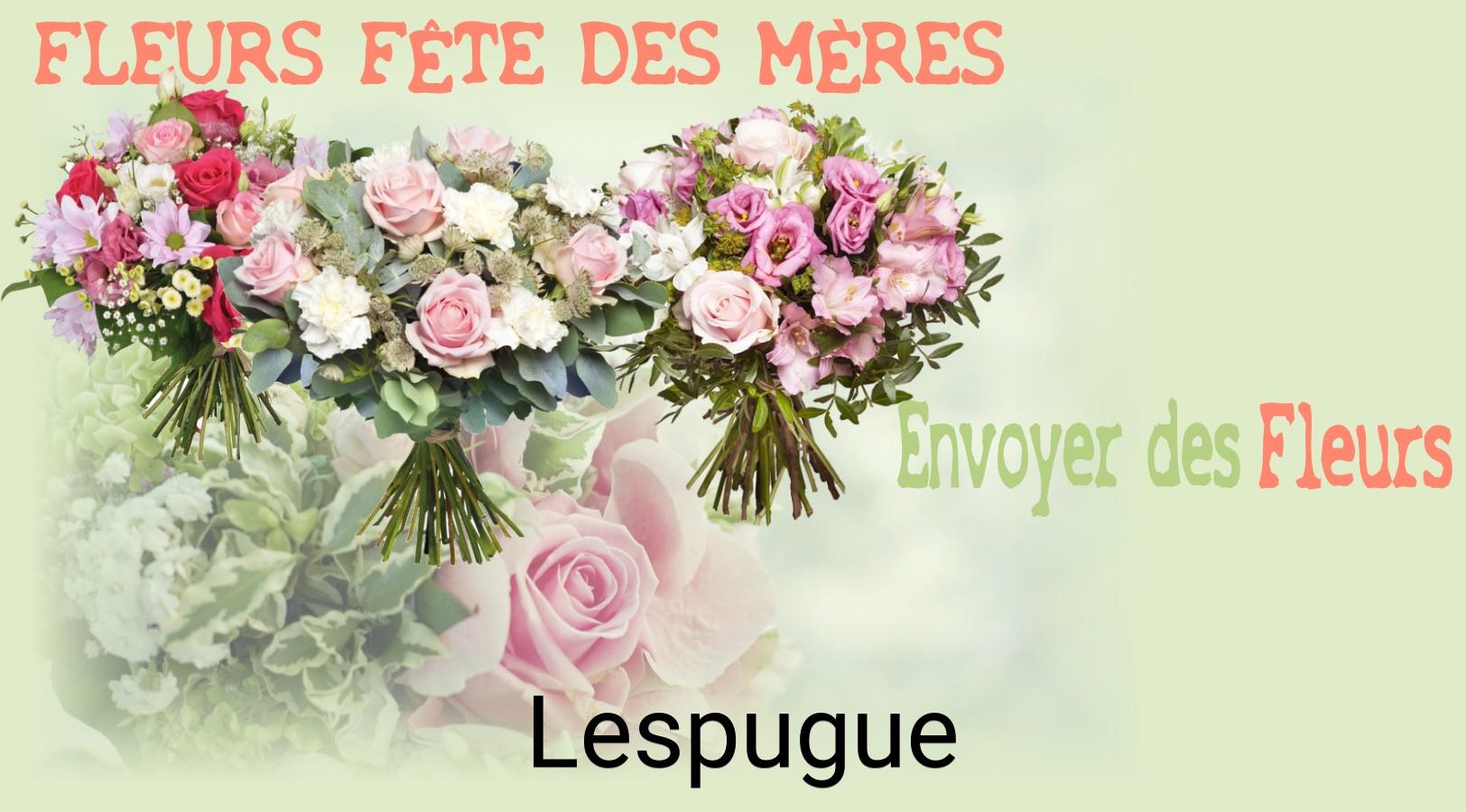 Bouquet de Fête des Mères livré à Lespugue