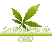 LA BOUTIQUE DU CBD LESPUGUE 